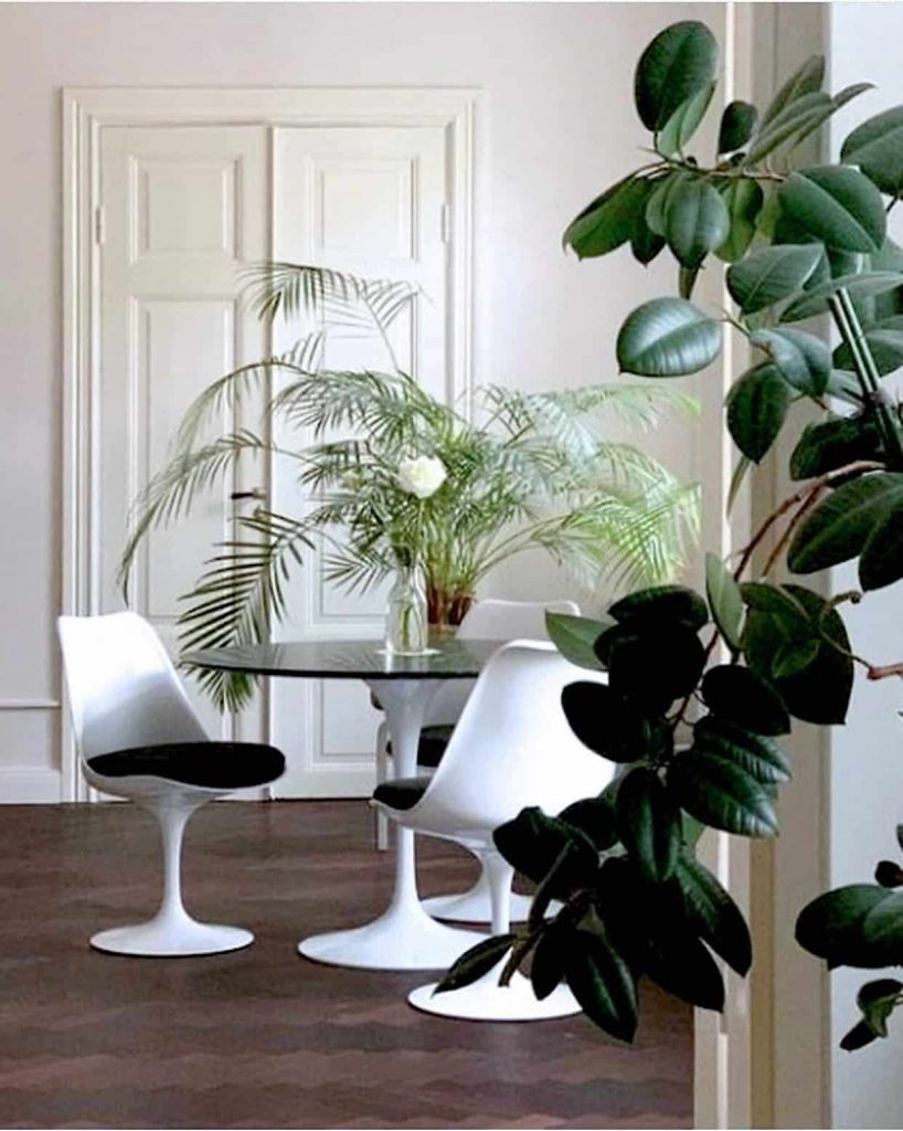 Timeless furniture pieces Tulip chair by Eero Saarinen