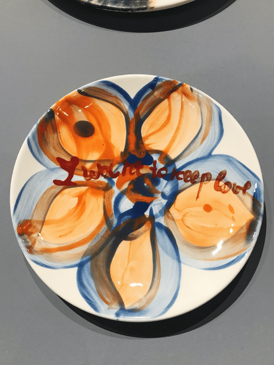 Maria Kulikovska Diary on the plates