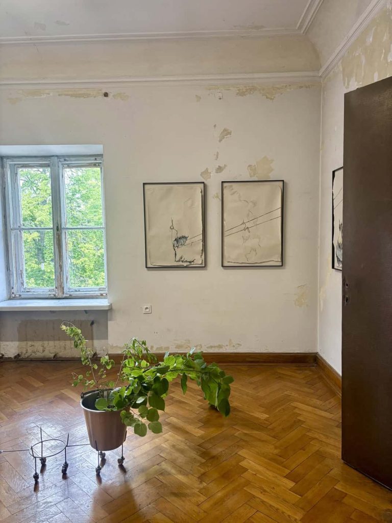 Delicate watercolour-like drawings by Laura Ní Fhlaibhín shown at Nada Villa Warsaw exhibition